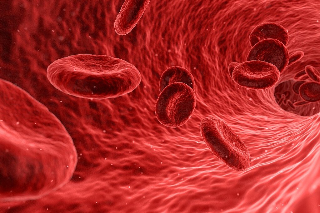 Immunschwächen und Allergien